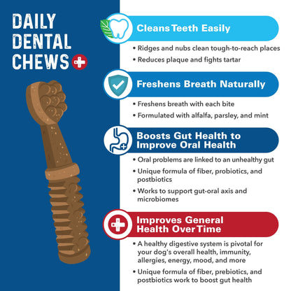 Bernie's Charming Chompers Digestive Supplement Bernie's Best 