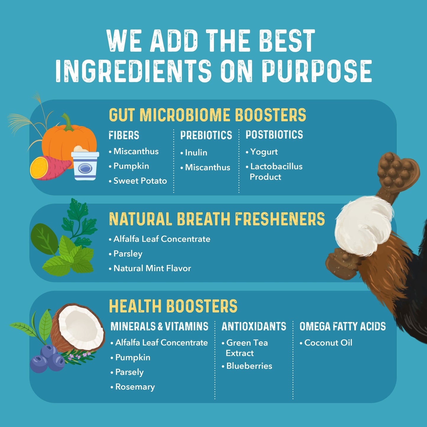 Bernie's Charming Chompers Digestive Supplement Bernie's Best 