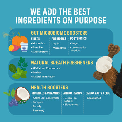 Bernie's Charming Chompers Digestive Supplement Bernie's Best 