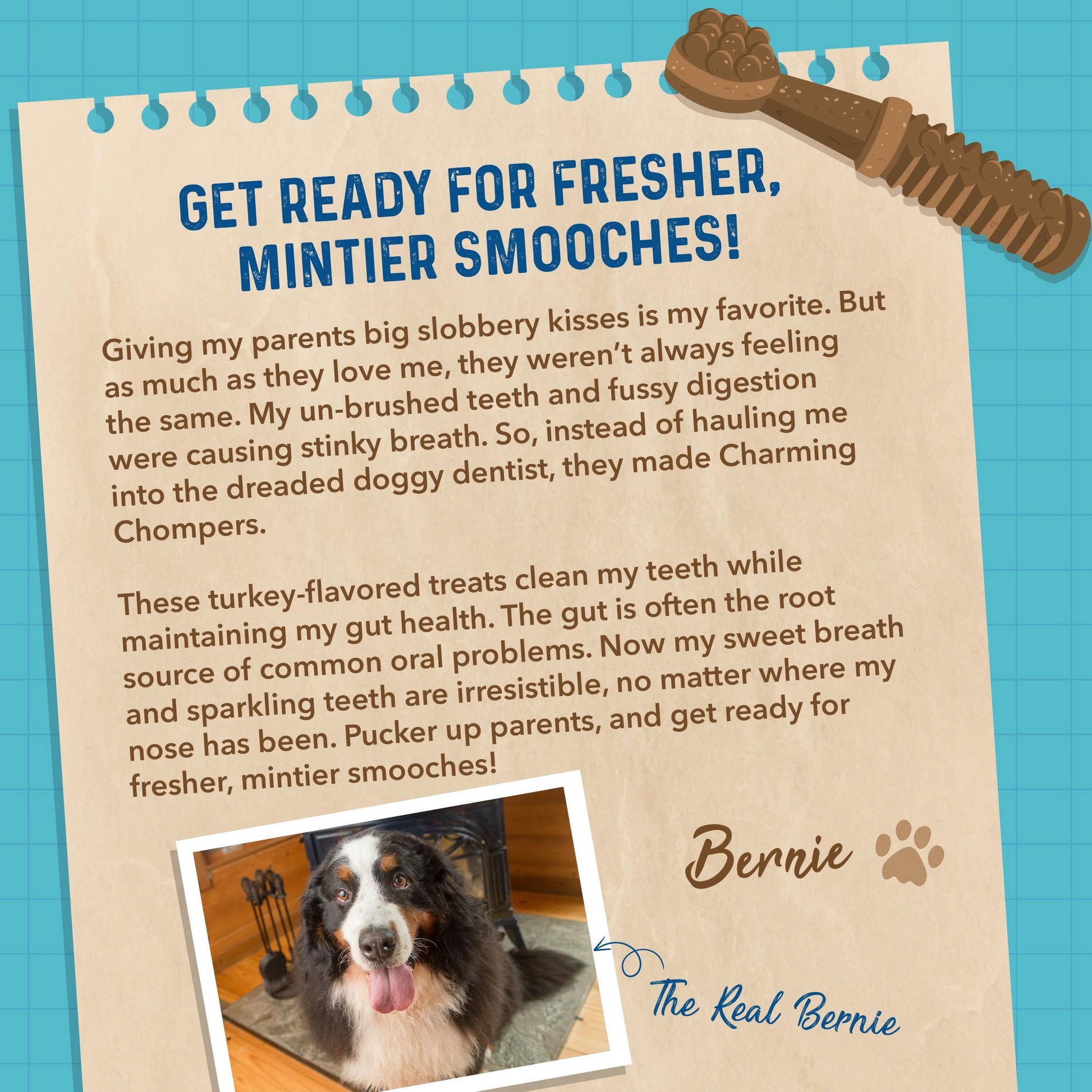 Bernie's Charming Chompers Digestive Supplement Bernie's Best 