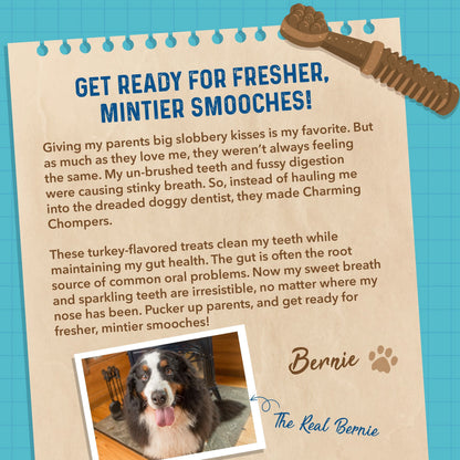 Bernie's Charming Chompers Digestive Supplement Bernie's Best 