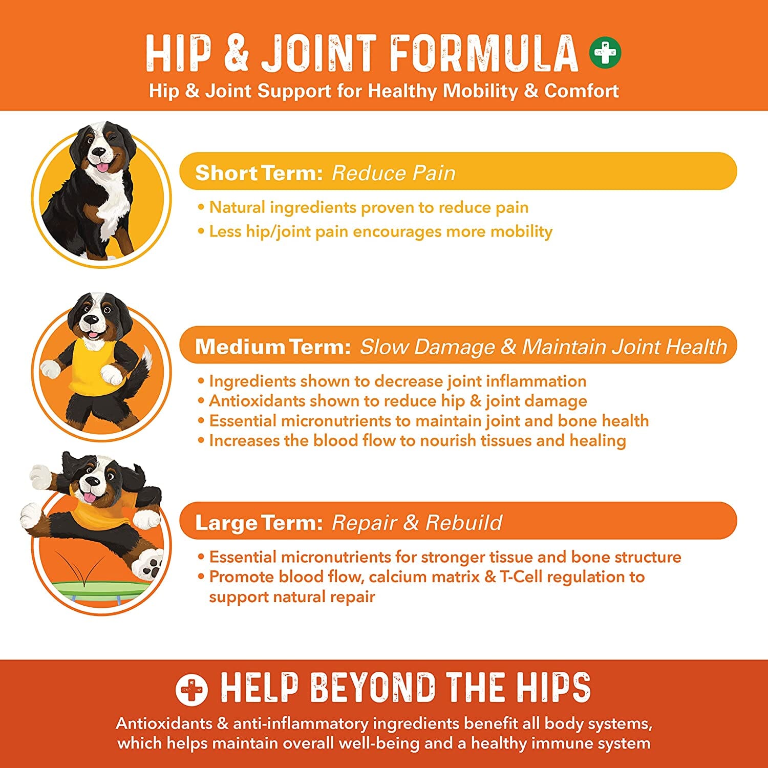 Bernie's Healthy Hips Hip & Joint Supplement Bernie's Best 