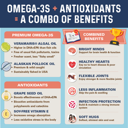 [FREE] Bernie's OMG!!! Omegas - Double Strength Omega-3 & Fish Oil Omega Supplement Bernie's Best 