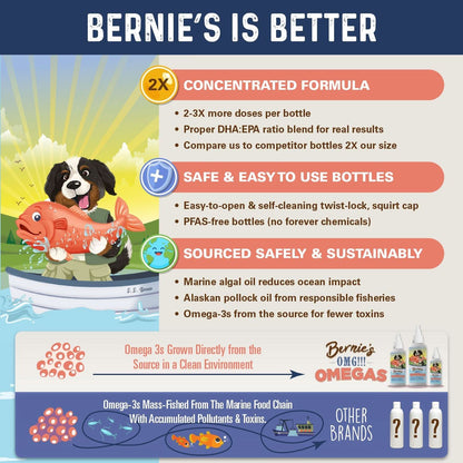 Bernie's OMG!!! Omegas - Double Strength Omega-3 & Fish Oil Omega Supplement Bernie's Best 