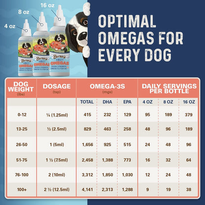 Bernie's OMG!!! Omegas - Double Strength Omega-3 & Fish Oil Omega Supplement Bernie's Best 