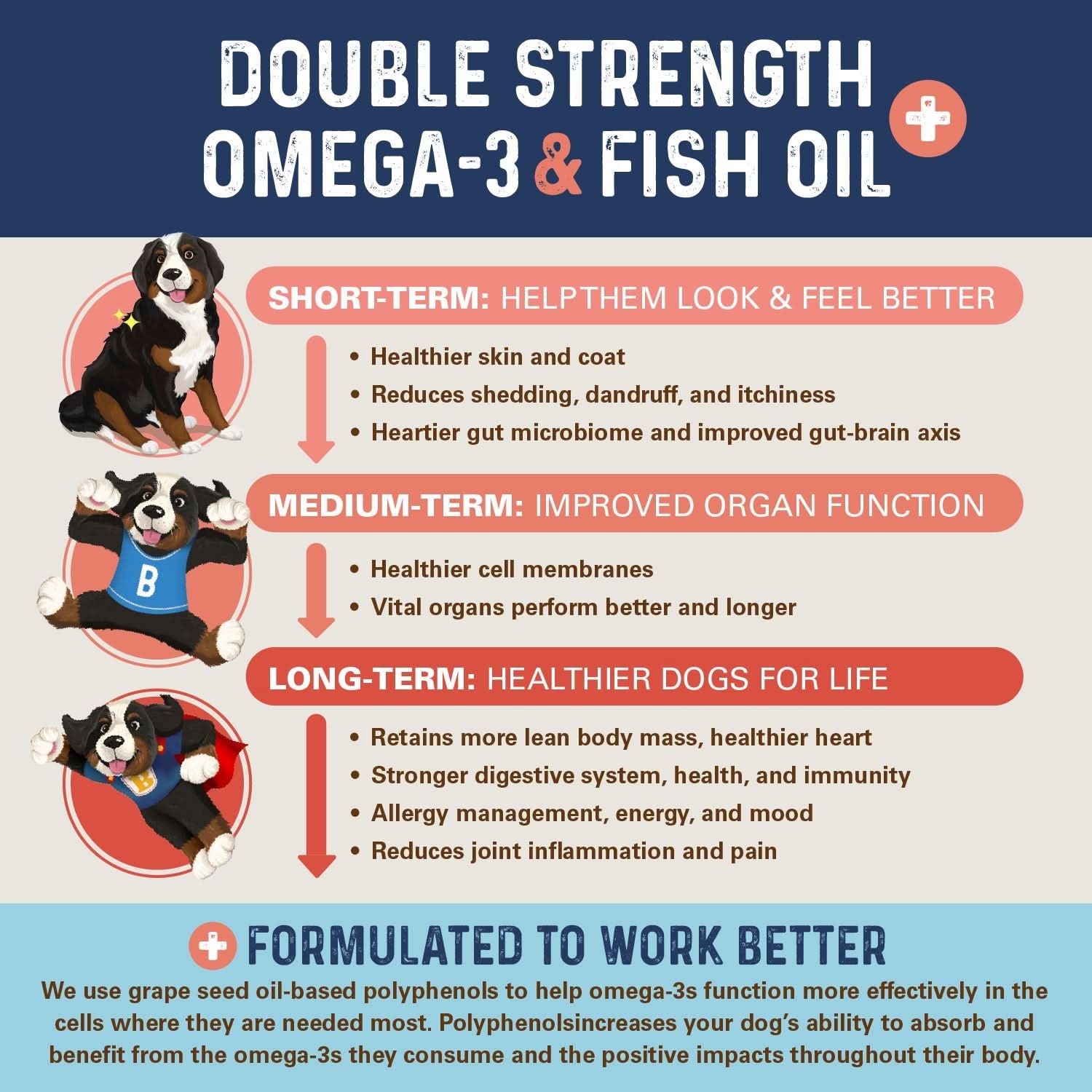 Bernie's OMG!!! Omegas - Double Strength Omega-3 & Fish Oil Omega Supplement Bernie's Best 