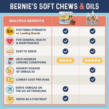 Bernie's OMG Omegas!!! - Soft Chews Omega Supplement Bernie's Best 