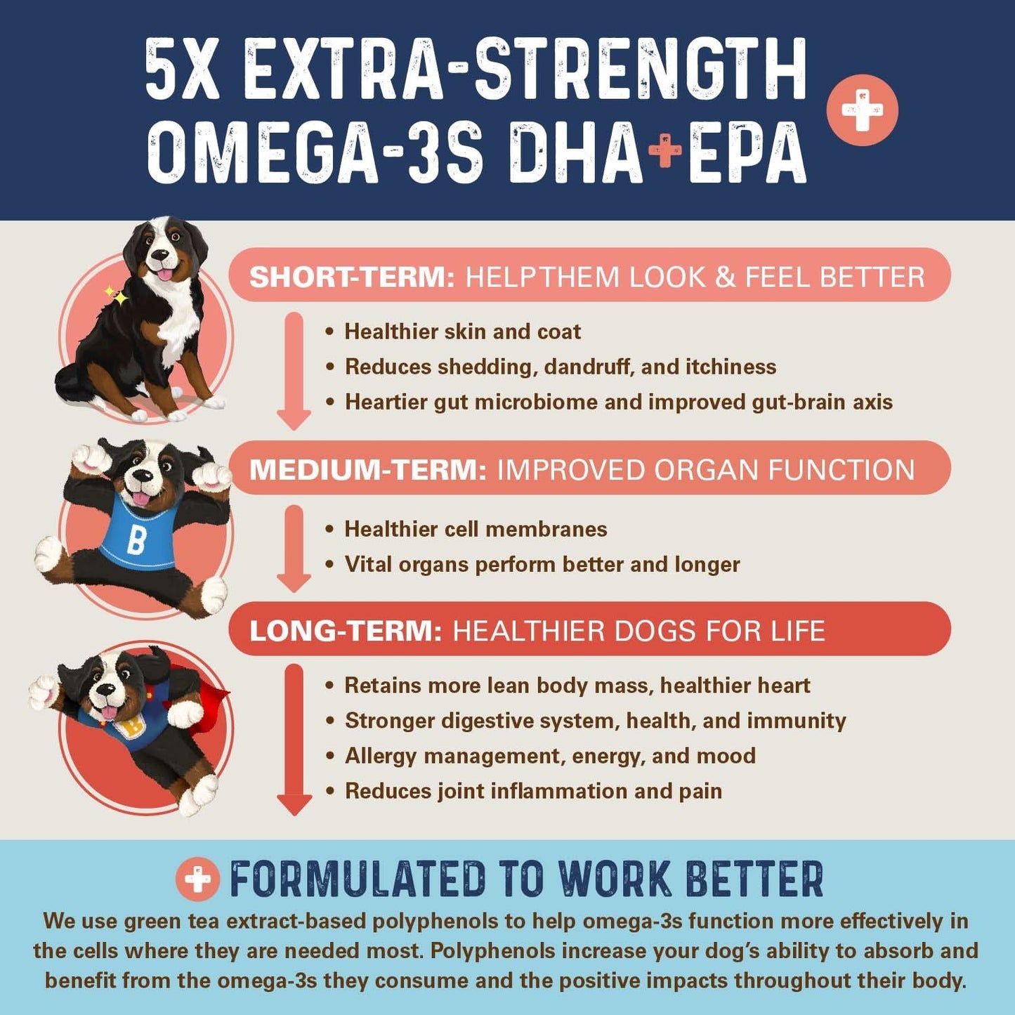 Bernie's OMG Omegas!!! - Soft Chews Omega Supplement Bernie's Best 