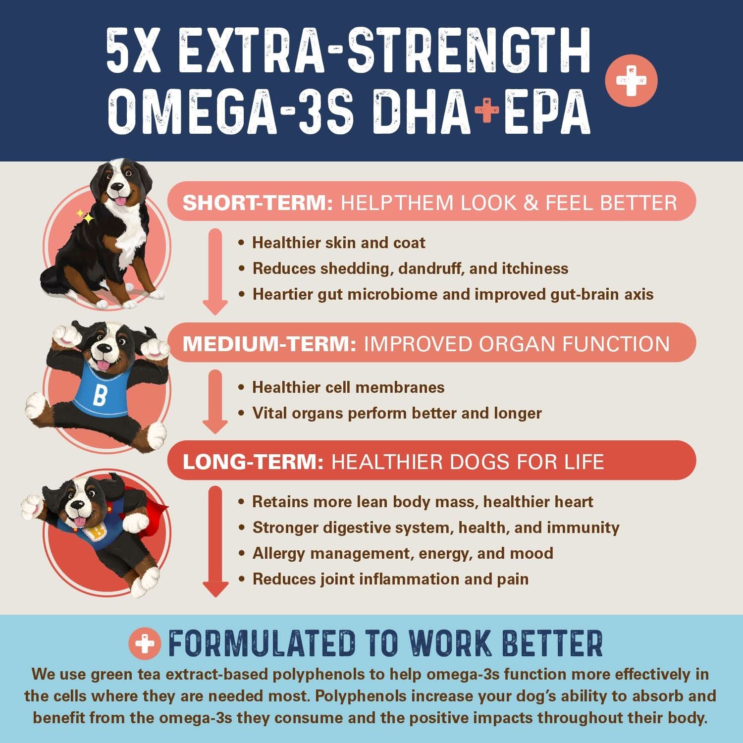 Bernie's OMG Omegas!!! - Soft Chews Omega Supplement Bernie's Best 