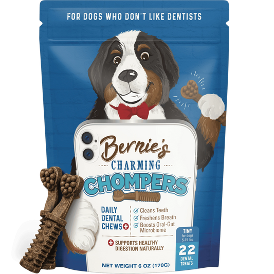 Bernie's Charming Chompers