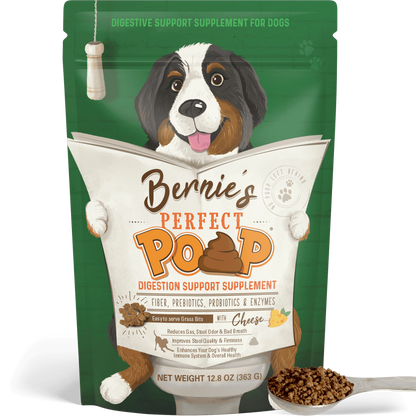 Bernie's Perfect Poop