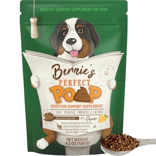 Bernie's Perfect Poop