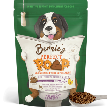 Bernie's Perfect Poop