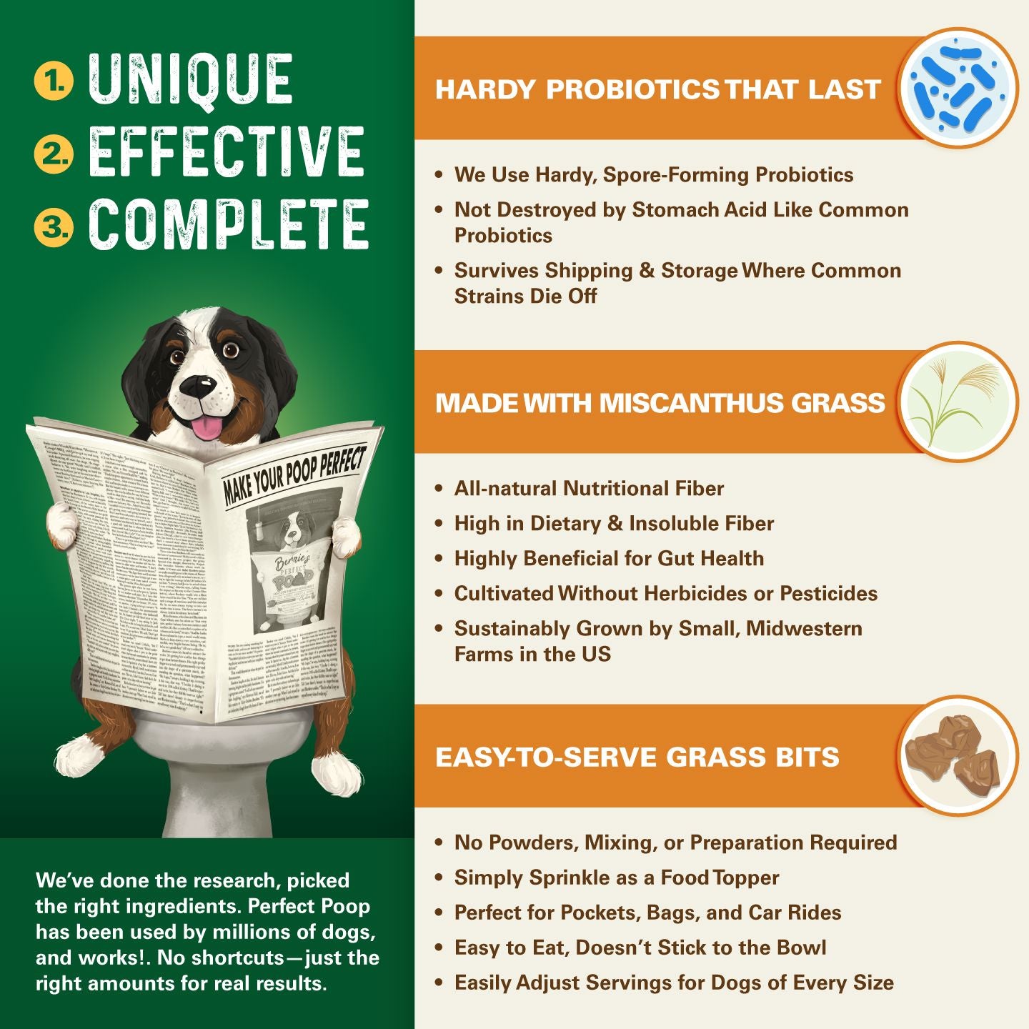 Bernie's Perfect Poop Digestive Supplement Bernie's Best 