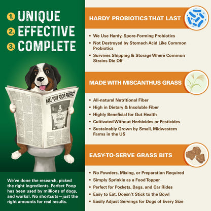 Bernie's Perfect Poop Digestive Supplement Bernie's Best 