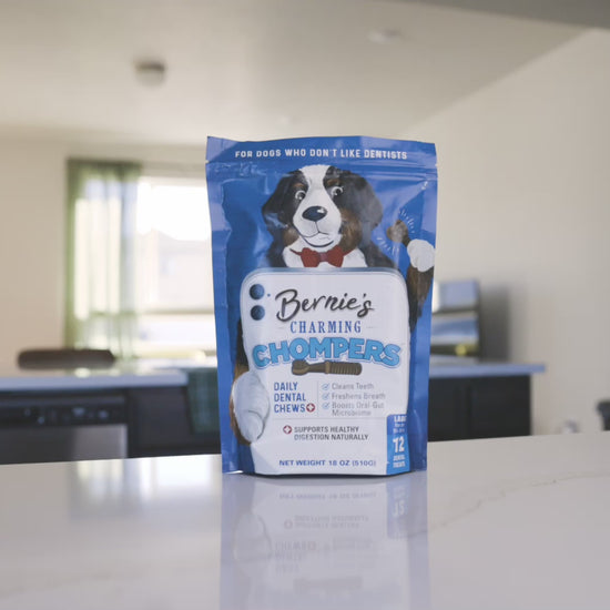 Check out Charming Chompers.