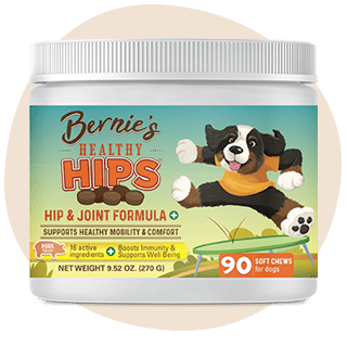 Bernie's Healthy Hips