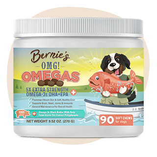 Bernie's OMG! Omegas Chews