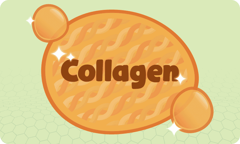 ingredient
