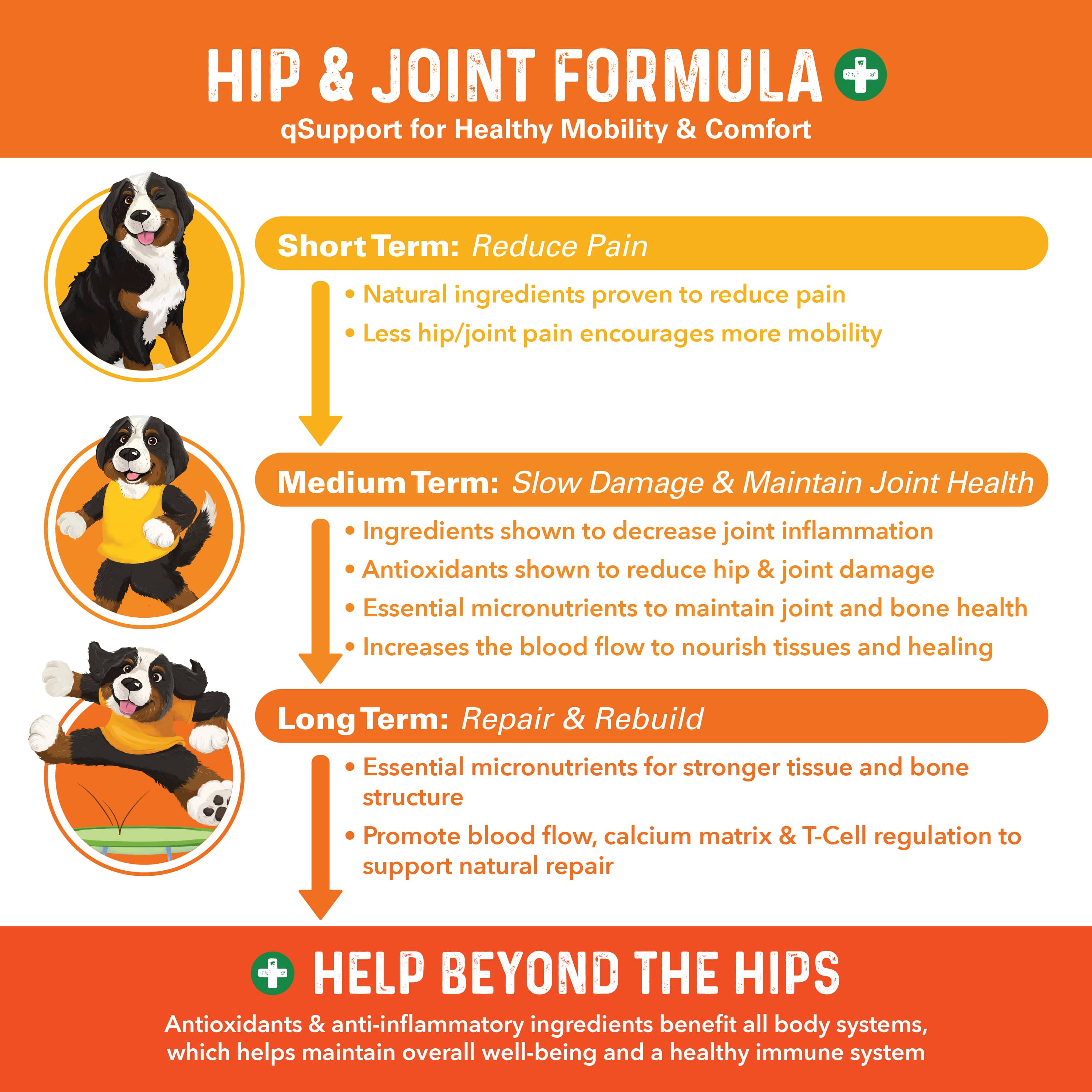 Bernie's Healthy Hips