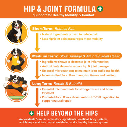 Bernie's Healthy Hips