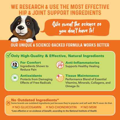 Bernie's Healthy Hips