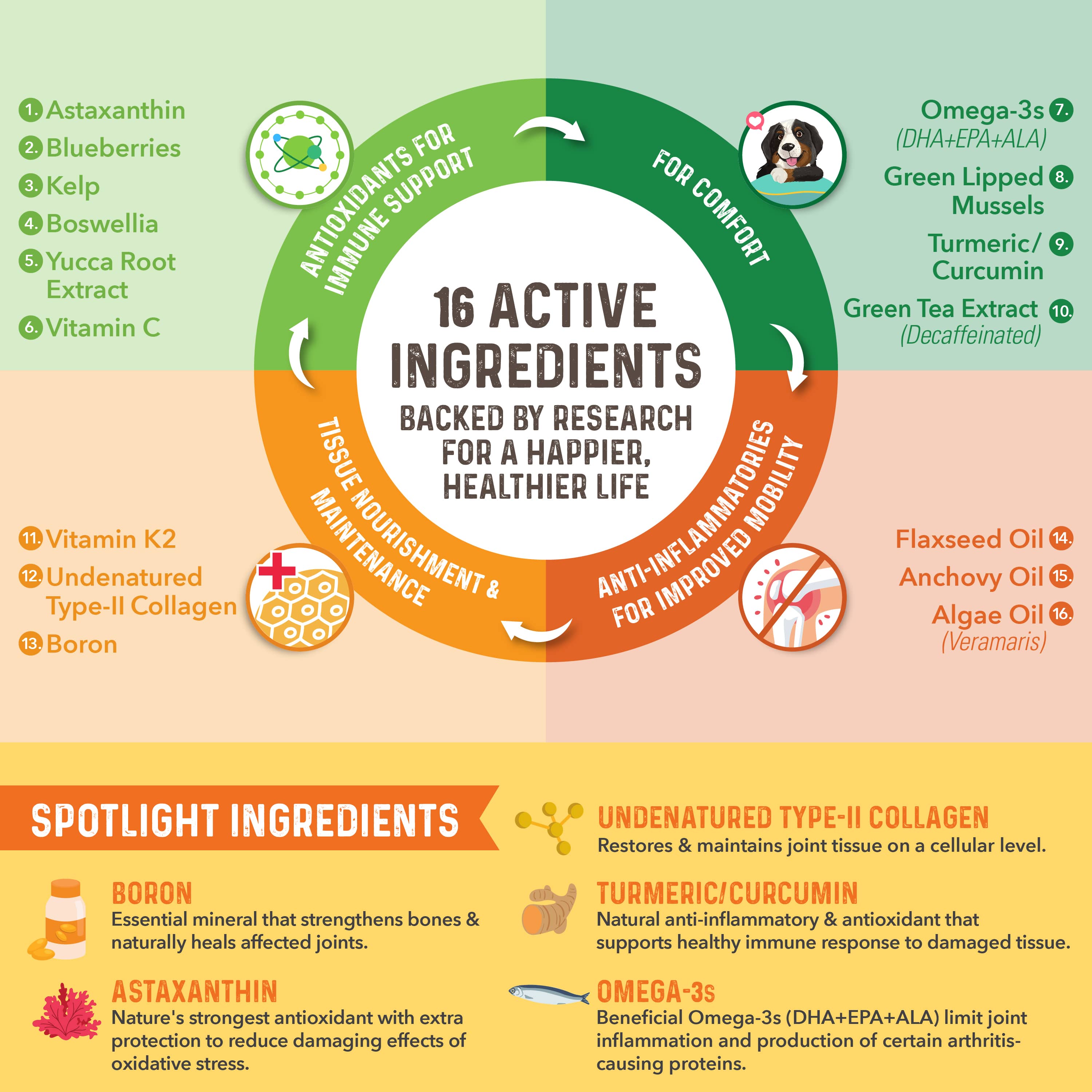 Bernie's Healthy Hips