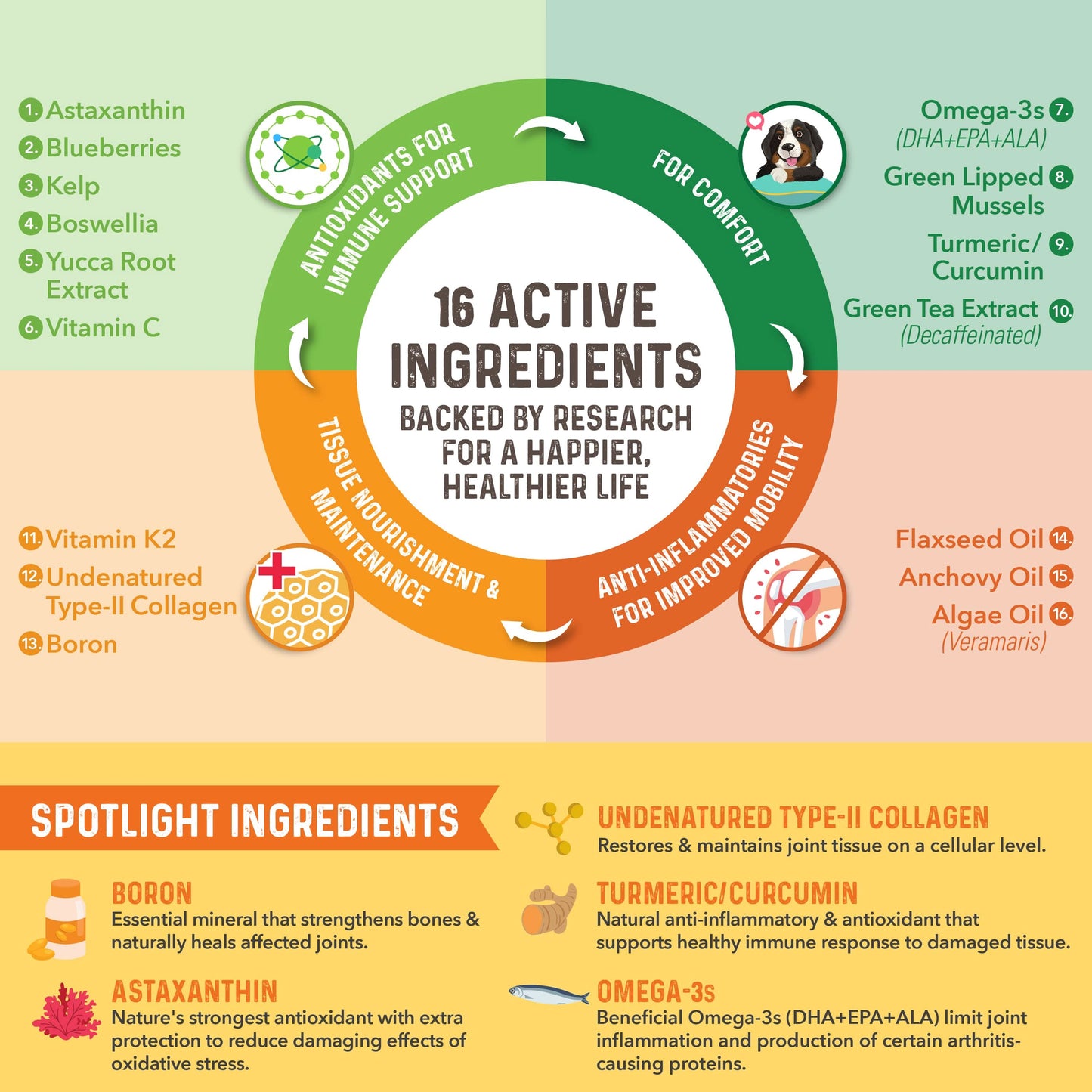 Bernie's Healthy Hips