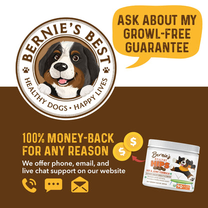 Bernie's Healthy Hips