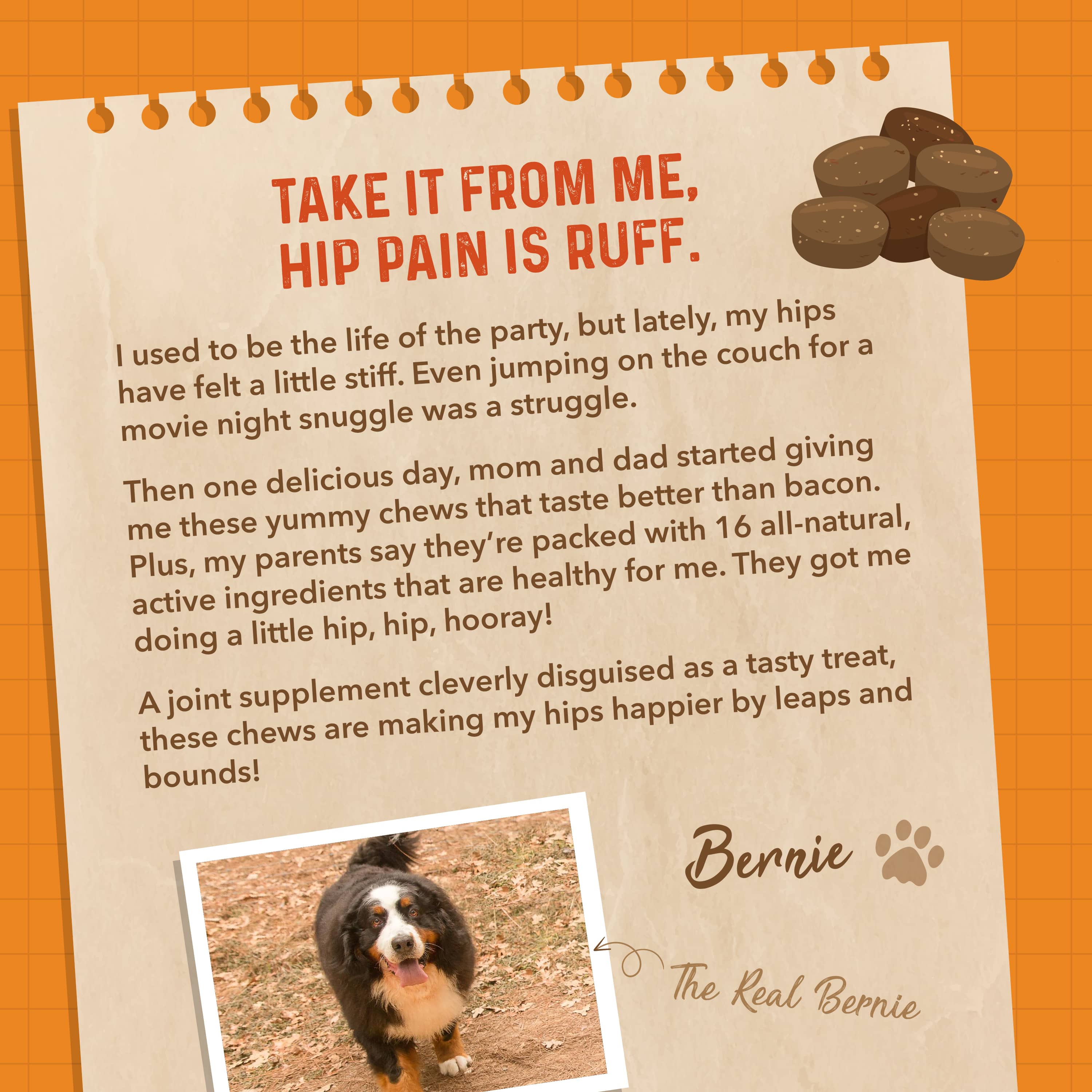 Bernie's Healthy Hips