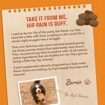 Bernie's Healthy Hips