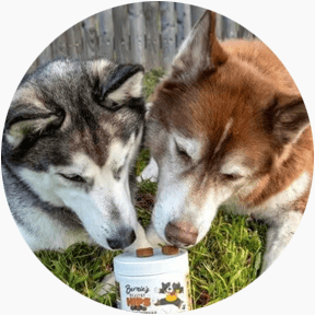 featured-review image