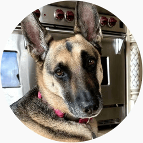 featured-review image