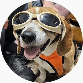 featured-review image