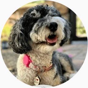 featured-review image
