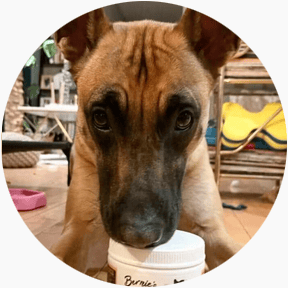 featured-review image