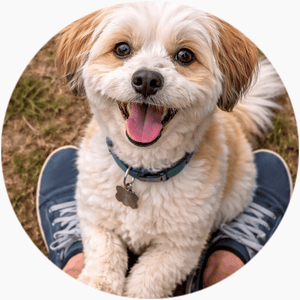 featured-review image