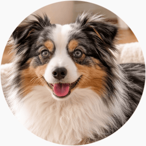 featured-review image