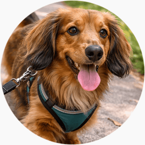 featured-review image