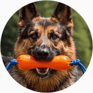 featured-review image