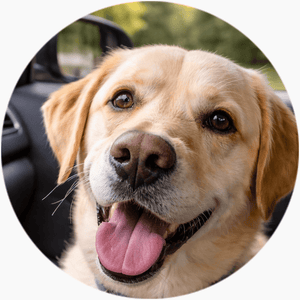 featured-review image