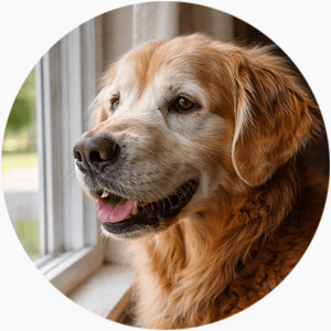 featured-review image