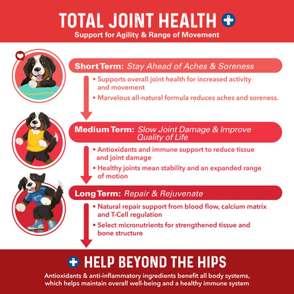 Bernie's Marvelous Mobility