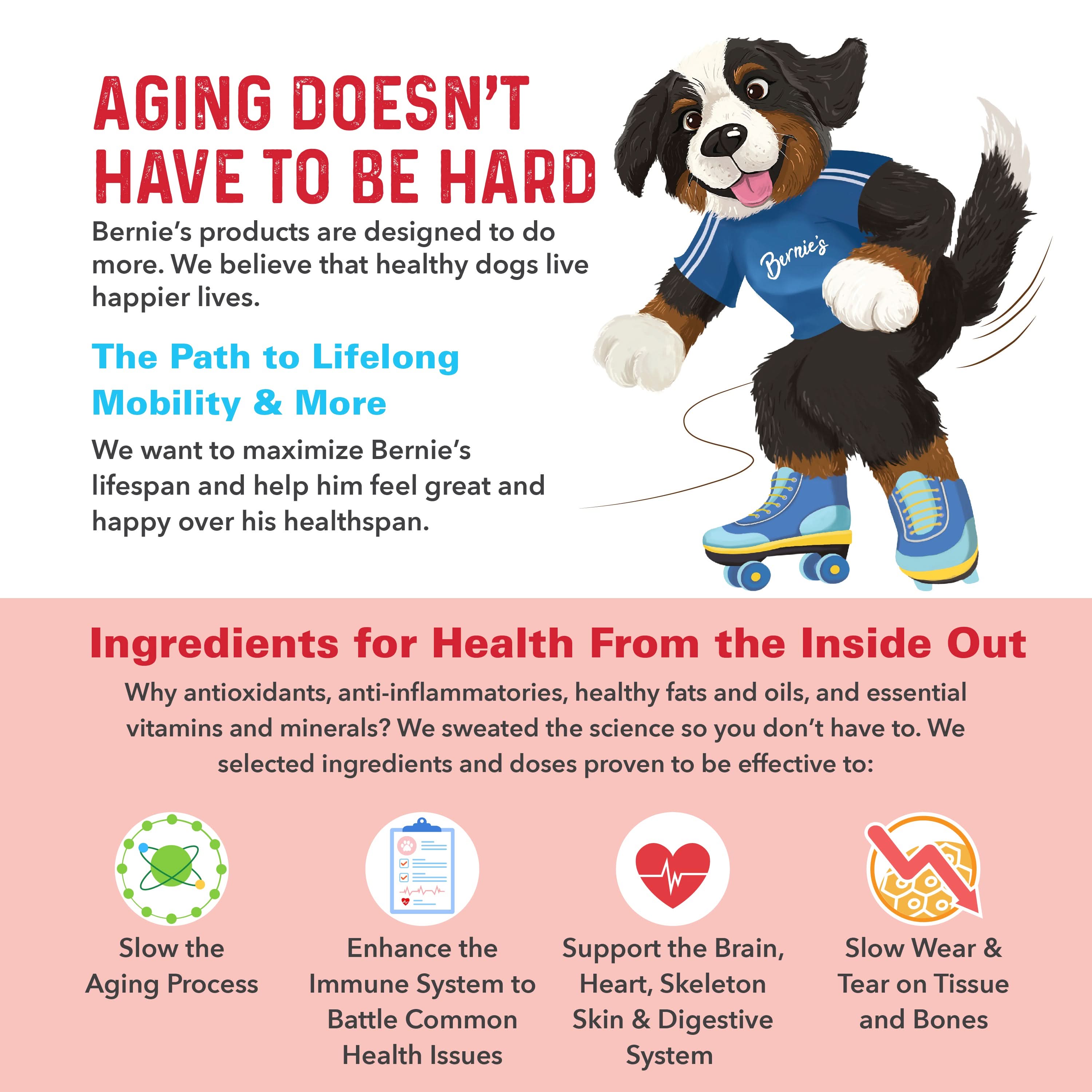 Bernie's Marvelous Mobility