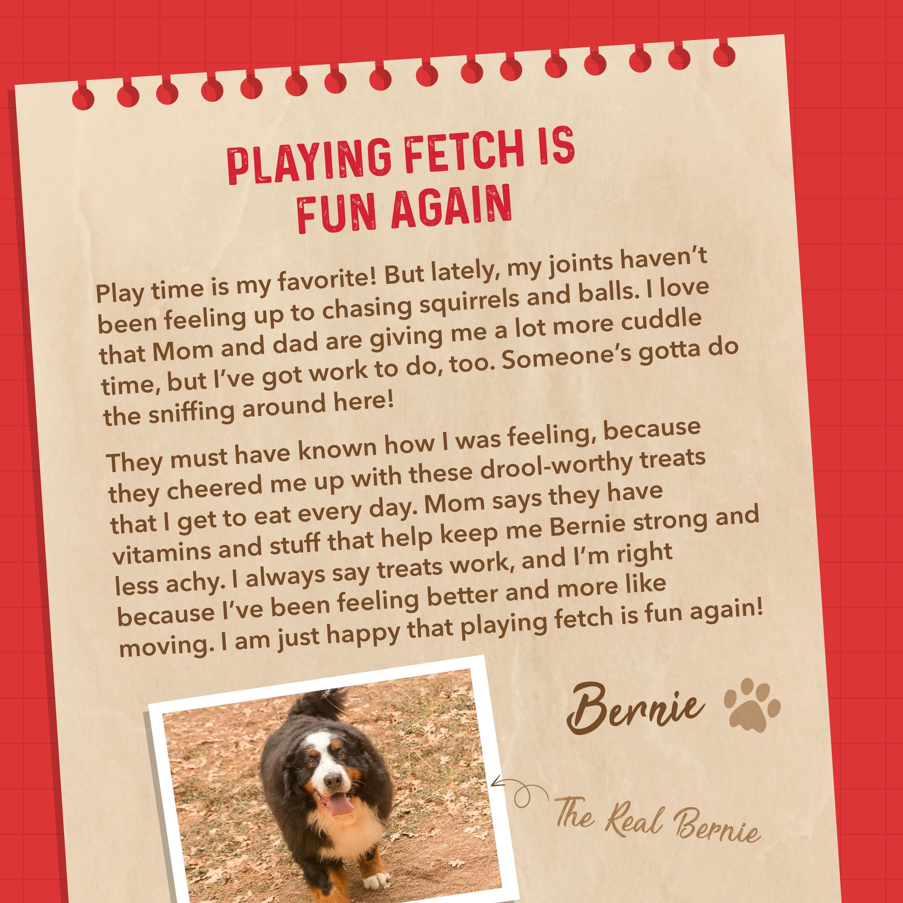 Bernie's Marvelous Mobility