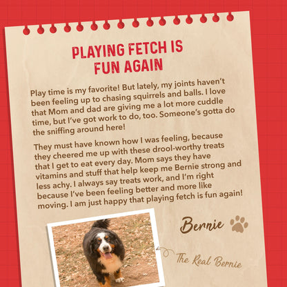 Bernie's Marvelous Mobility